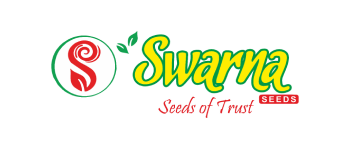 SR Placemnts, SR Recruiters, SR University